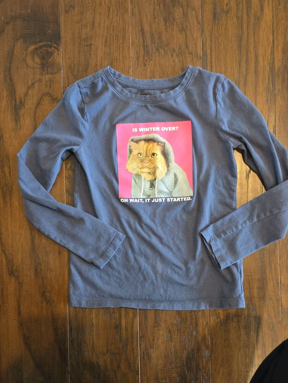 GAP Blue Long Sleeve Tee with Pink Cat Graphic